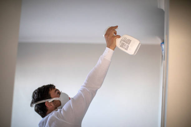 Best Toxic Mold Removal  in Bedford, VA